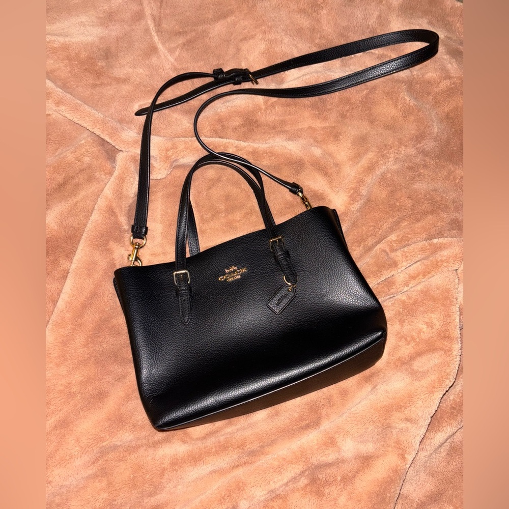 Mollie 25 Tote Coach Bag